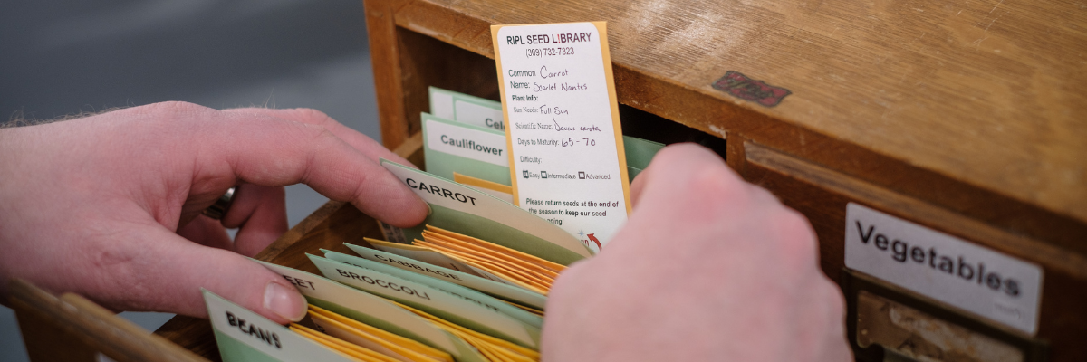 Person browsing RIPL seed library drawers