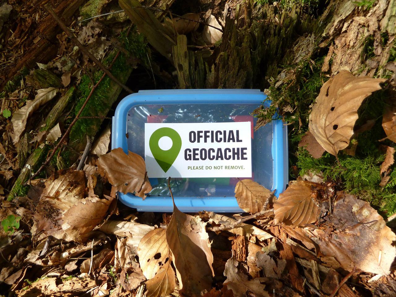 Photo of a geocache (labeled "Official Geocache") sitting on the ground surrounded by fallen leaves.