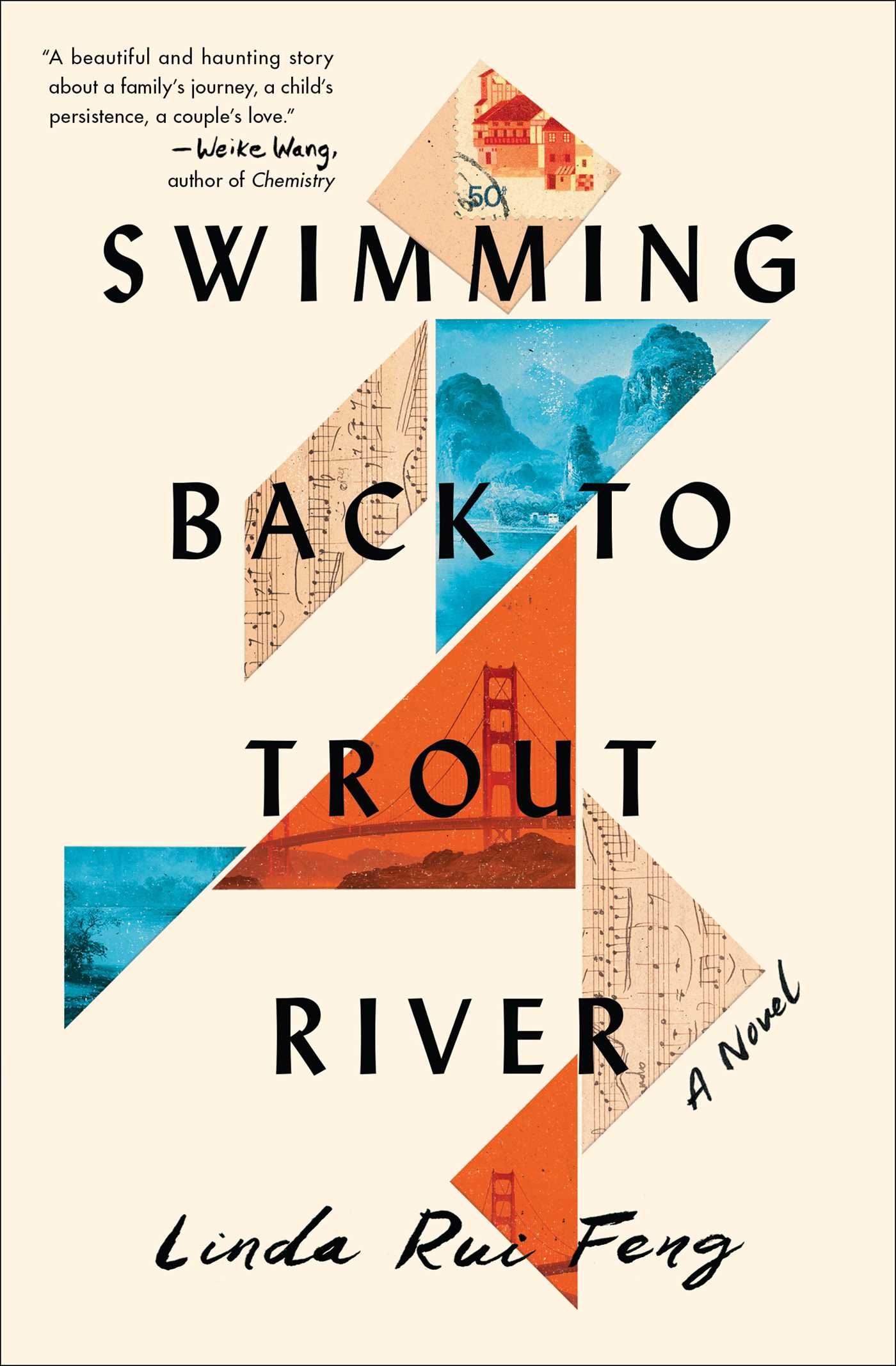 book cover of swimming back to trout river