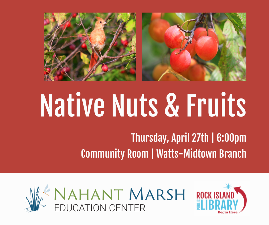Program information for "Native Nuts & Fruits"
