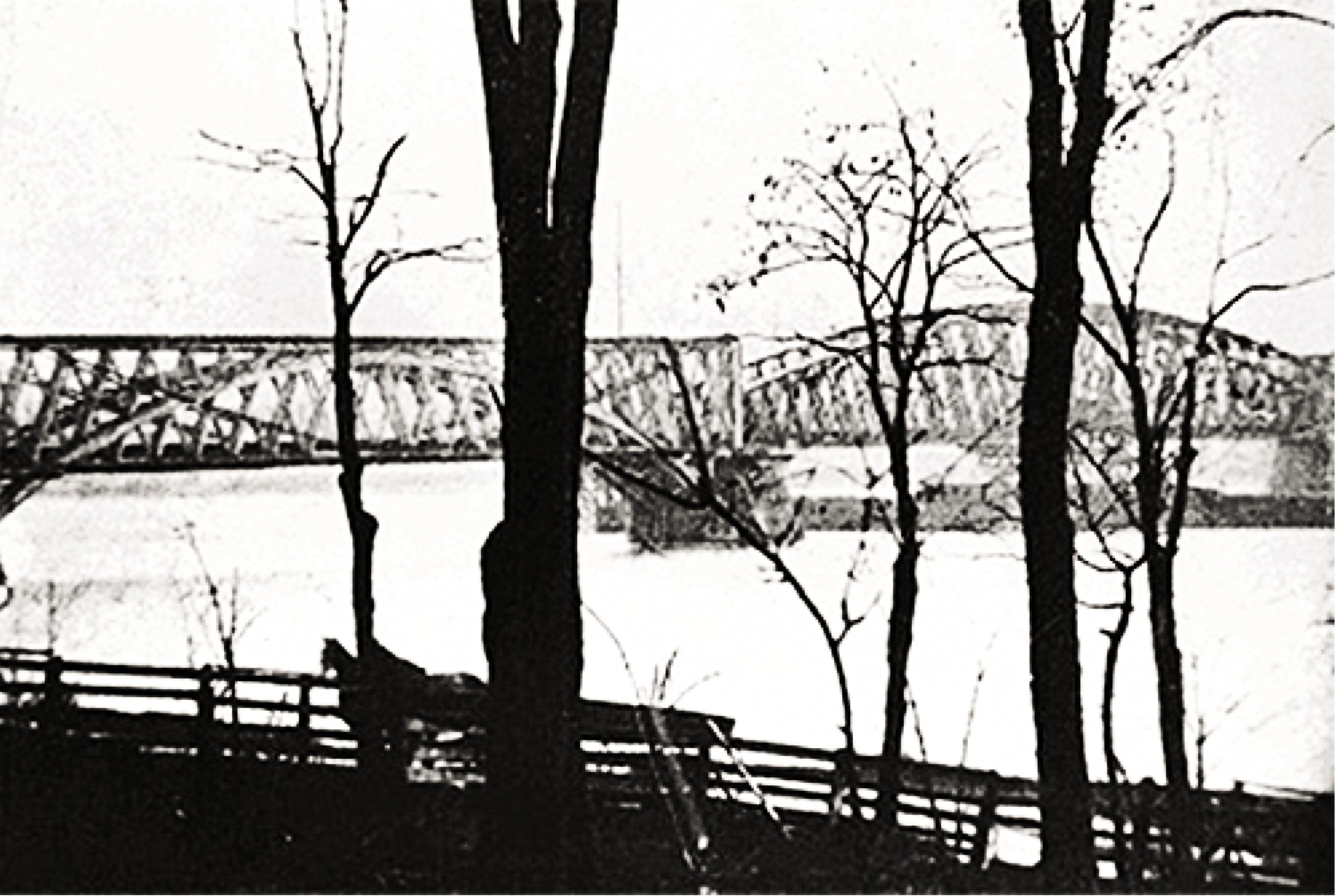 Earliest photo of Farnam bridge taken in 1860