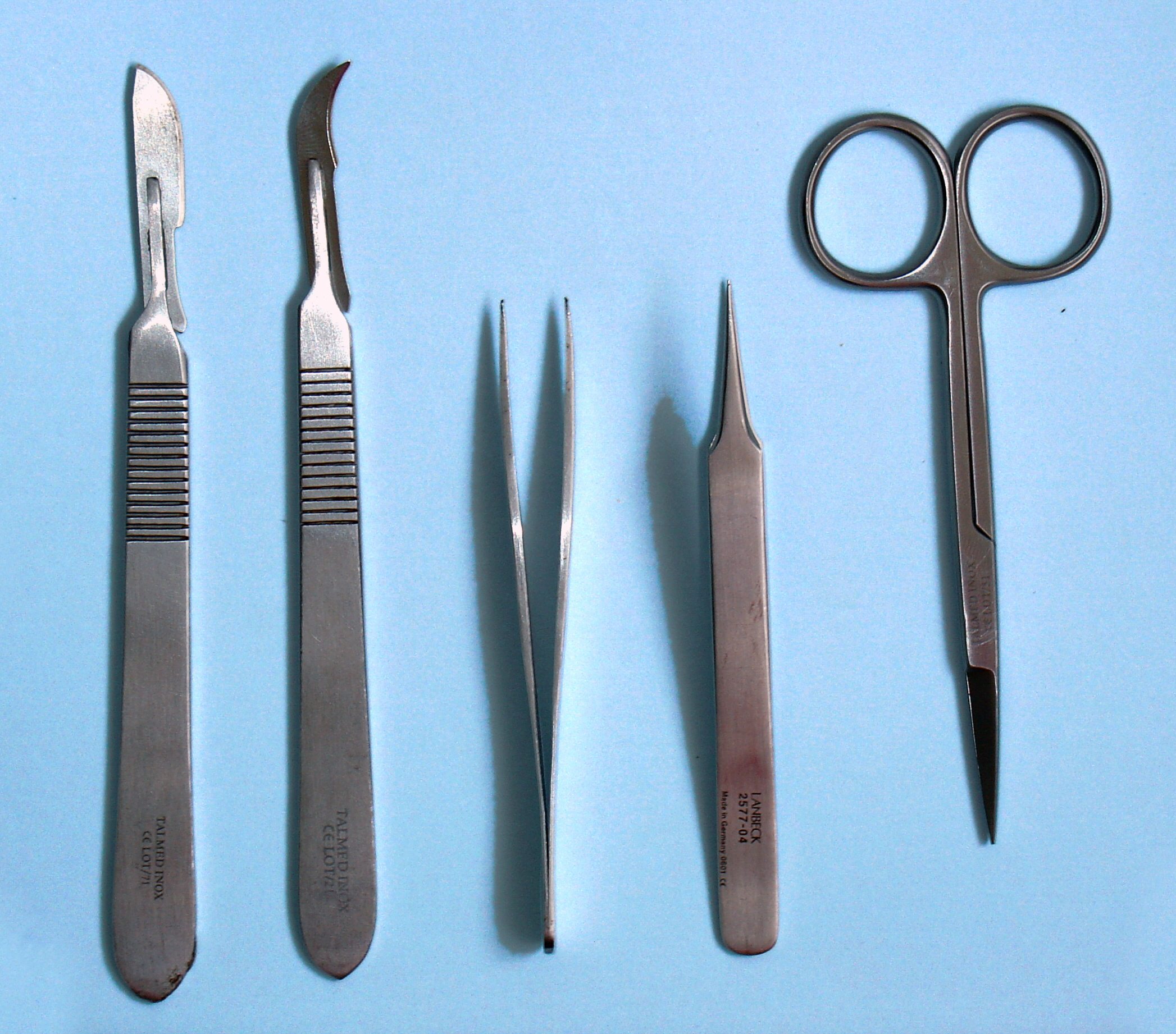 Five metal dissection tools, including scissors and tweezers, appear on a blue background.