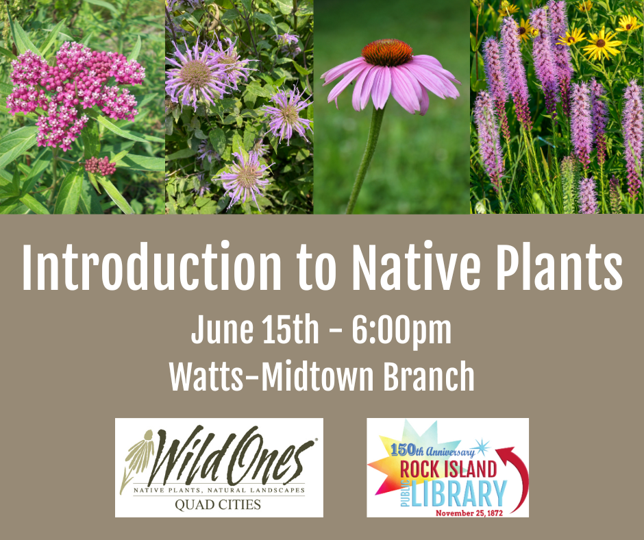 Program information for "Introduction to Native Plants"