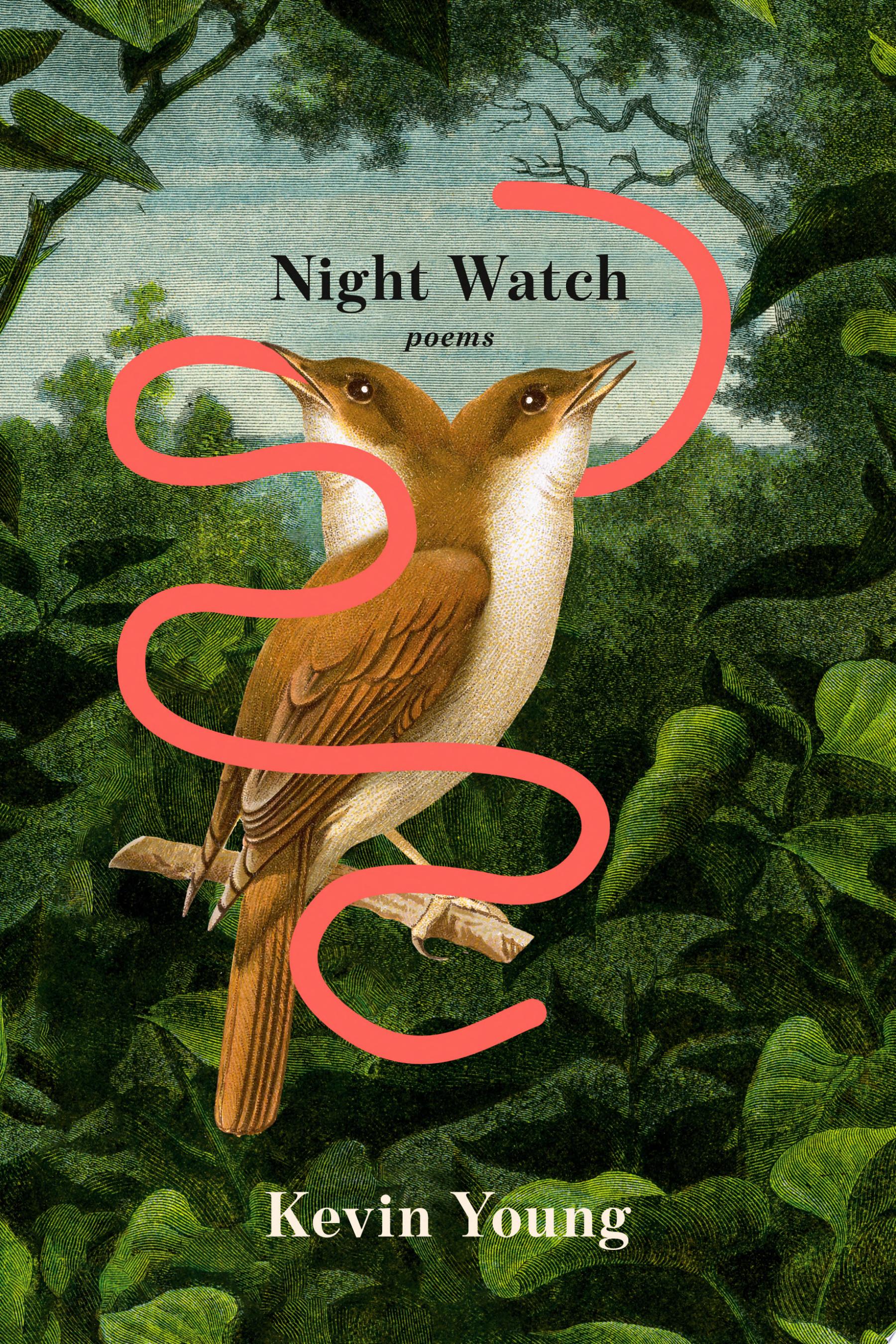 Book cover reading "Night Watch" by Kevin Young, featuring two brown birds against a forest background