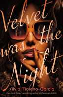 Image for "Velvet was the Night"