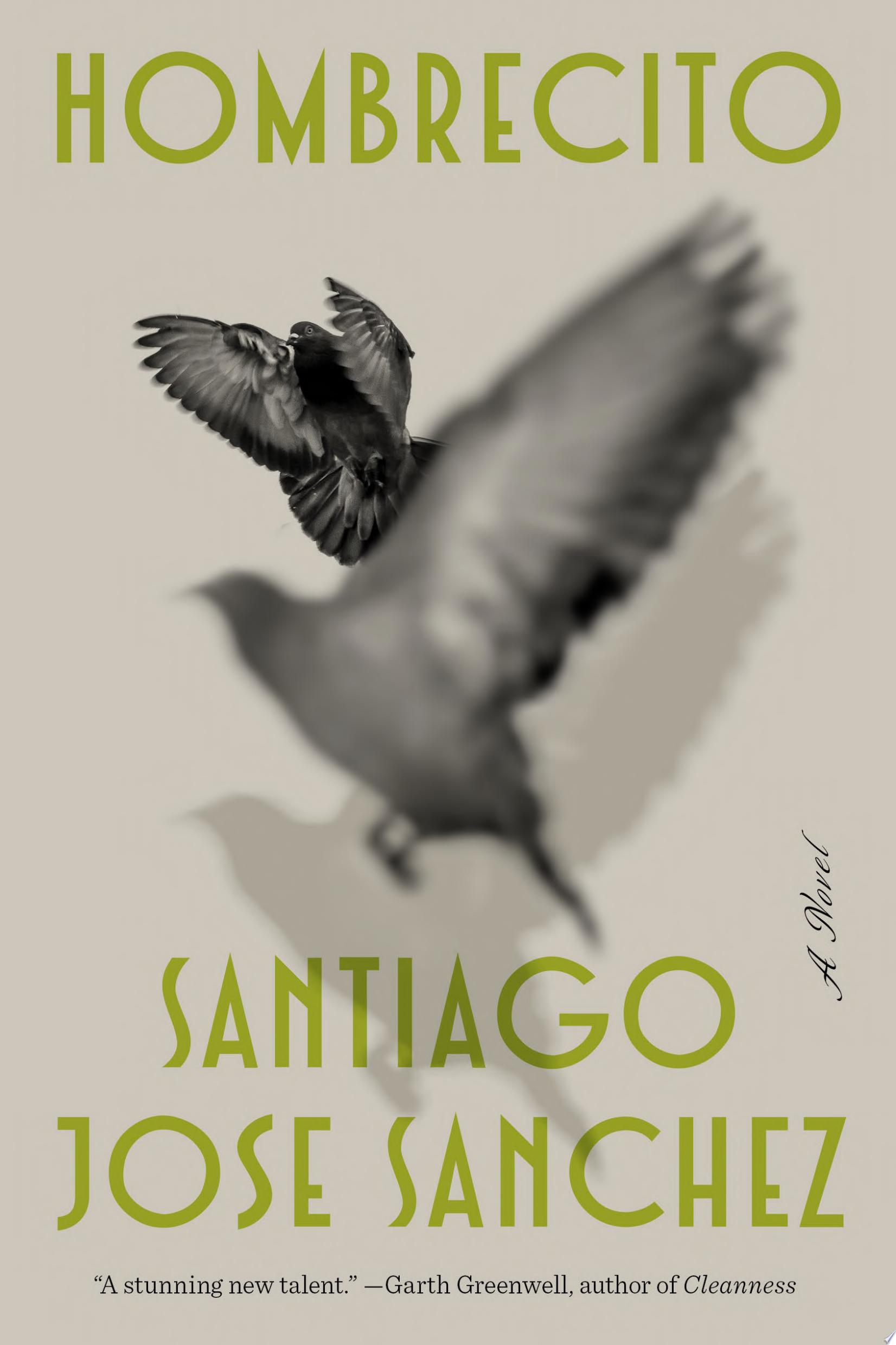 Book cover with green text reading "Hombrecito" by Santiago Jose Sanchez, featuring two gray birds midflight against a beige background