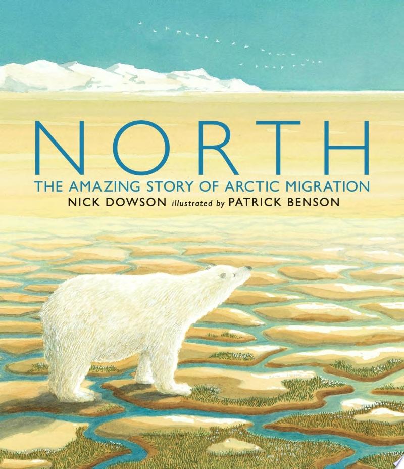 Image for "North"