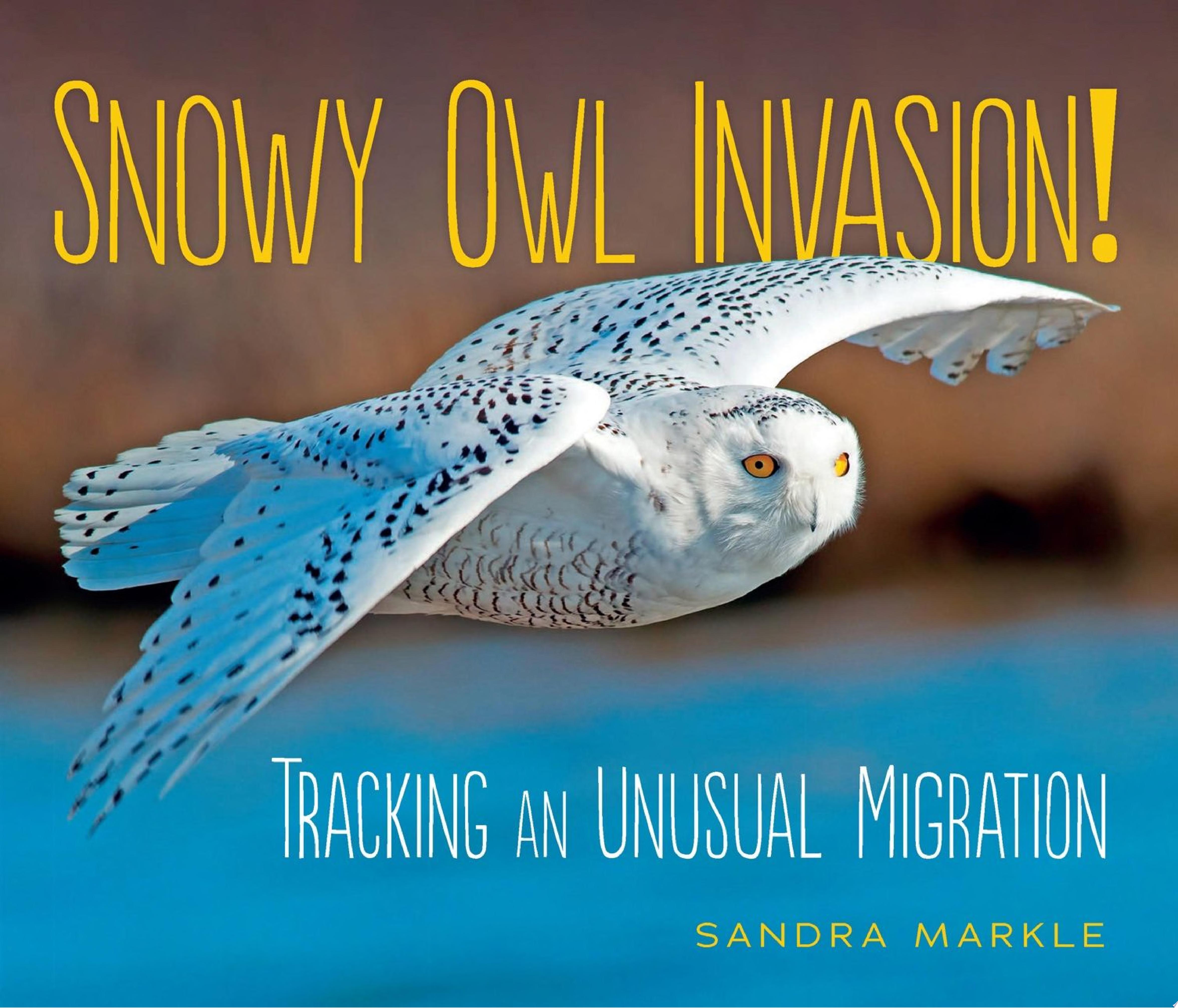 Image for "Snowy Owl Invasion!"