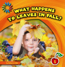 Image for "What Happens to Leaves in Fall?"