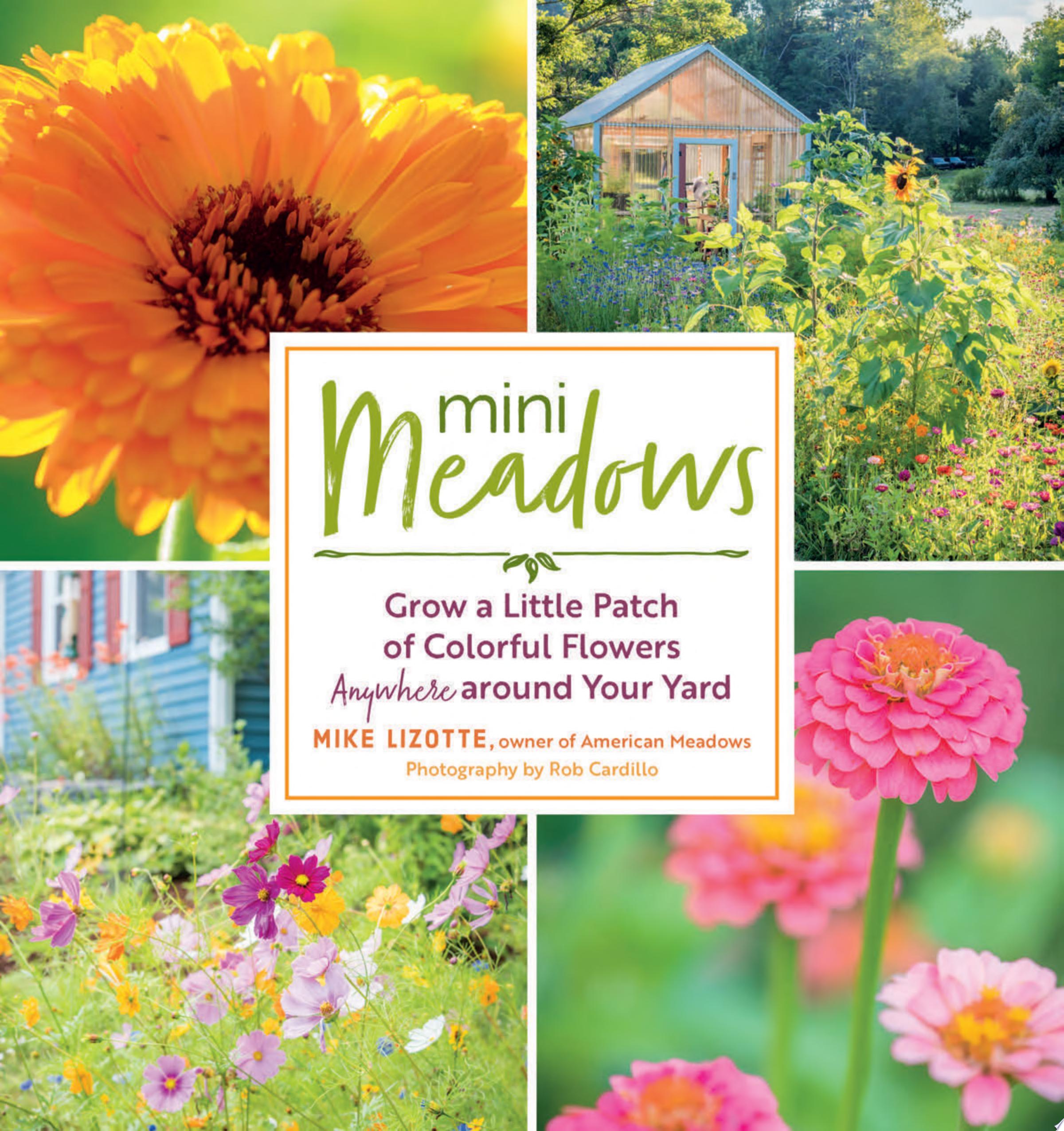 Image for "Mini Meadows"