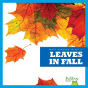 Image for "Leaves in Fall"