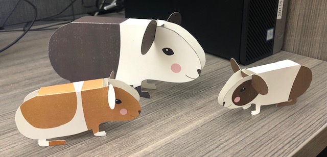 assembled examples of paper guinea pig craft