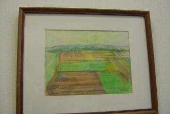 Pastoral landscape with patchwork field in soft colors (2 of 3)