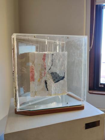 Abstract sculpture suspended from interior of small acrylic case