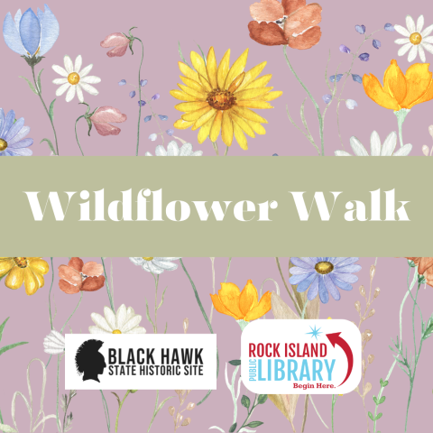 Pink square with wildflowers and text reading "Wildflower Walk"