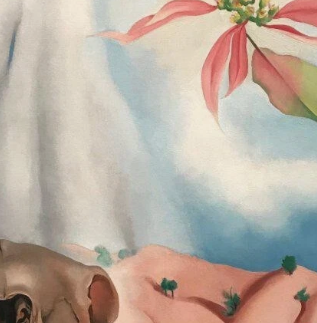 Blue Sky & pink flowers