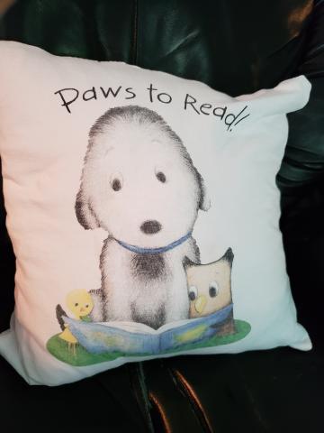 sample t-shirt pillow