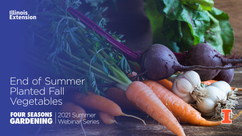 promotion picture of a variety of vegetables