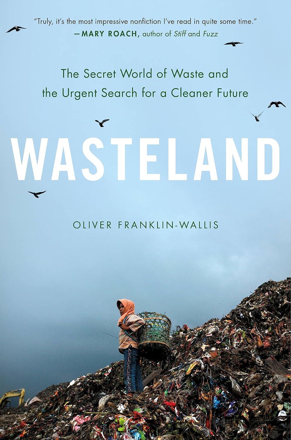 Book cover of Wasteland