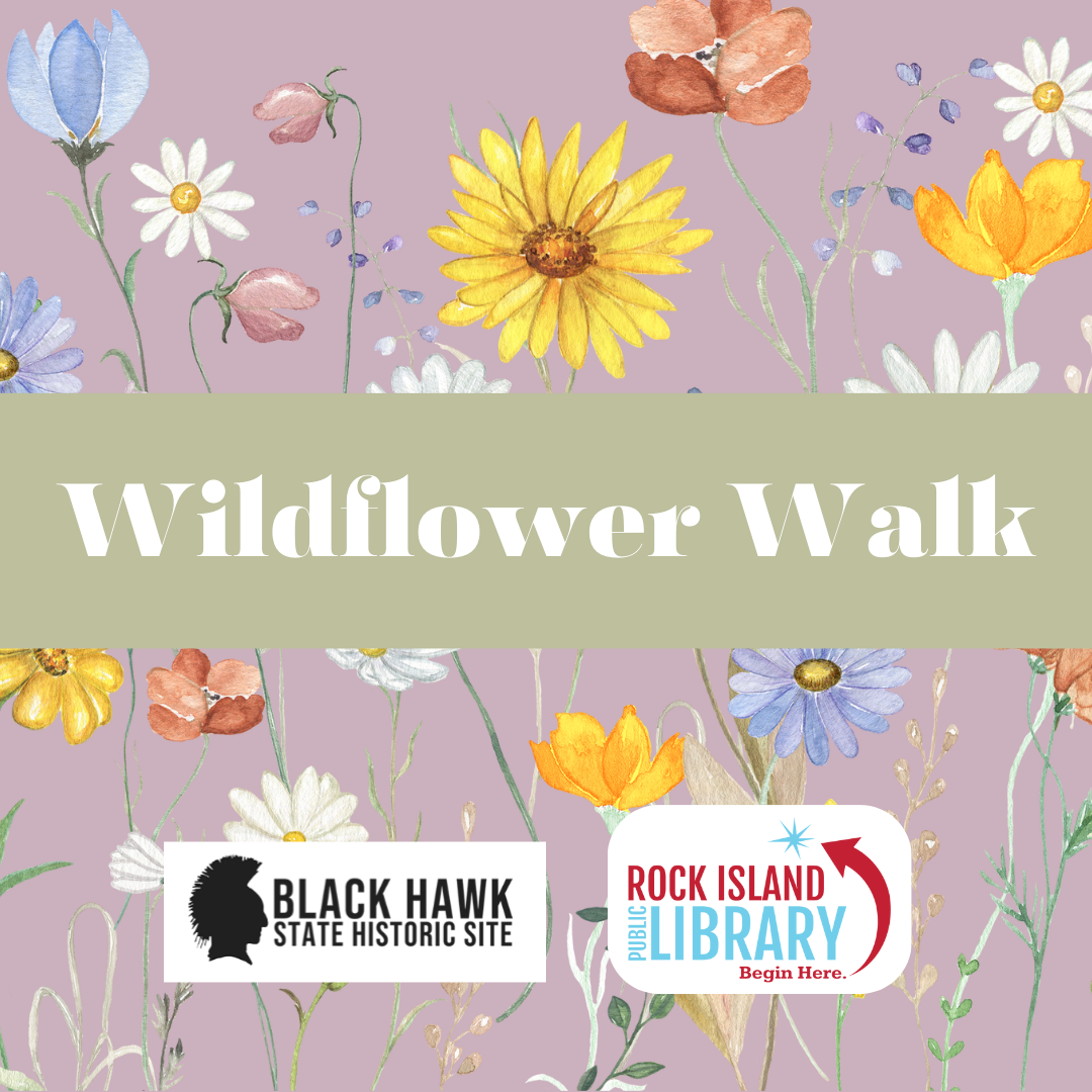 Pink square with wildflowers and text reading "Wildflower Walk"