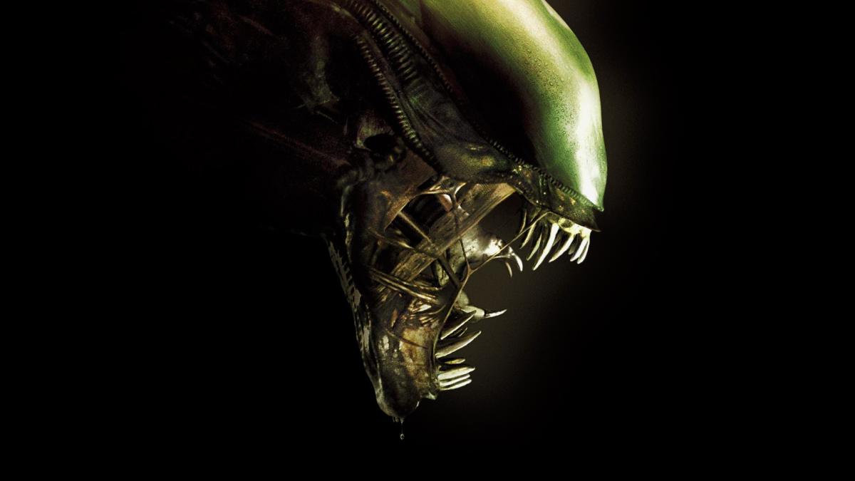 An image of a xenomorph tinted green, highlighted on a black background.