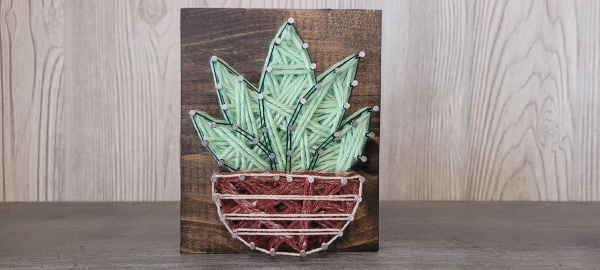 Image of succulent string art project