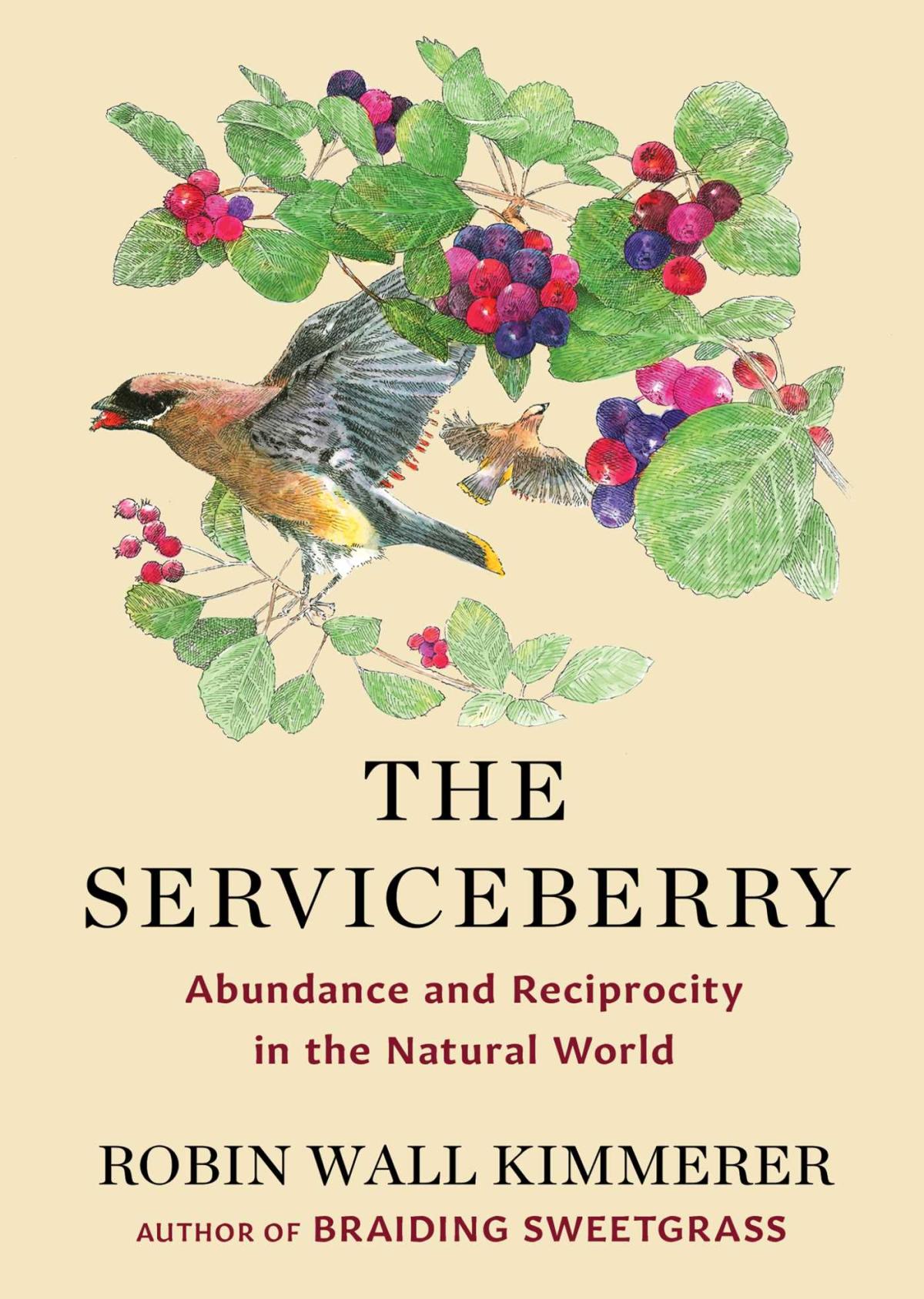 Book cover of The Serviceberry