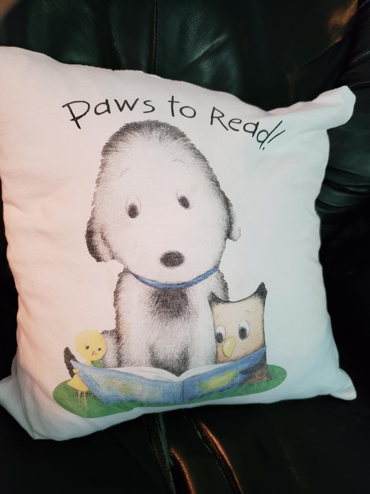 sample t-shirt pillow