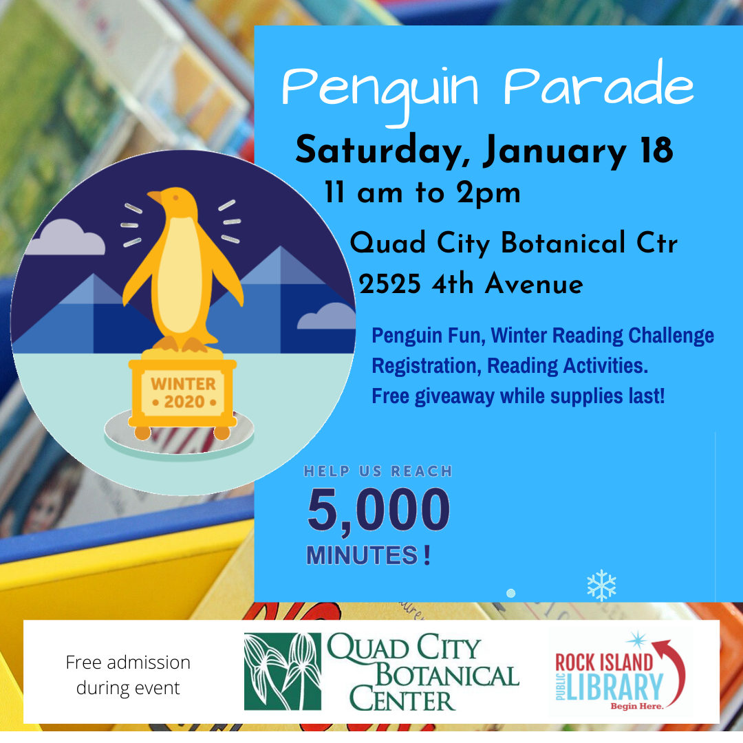 penguin parade Instagram slide 